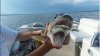 upload_2019-8-21_17-34-17.jpeg