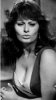 sophia loren 2.jpg