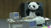 ZYeO067.gif