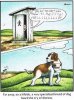 dog toilet paper.jpg