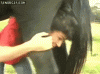 giphy (8).gif