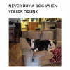 69168498_2443109145933185_6507882271083593728_n.png