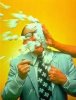pie in the face.jpg