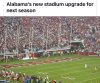 Bama.jpg