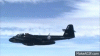 image.gif
