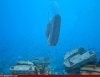 Underwater-Tanks-33581.jpg