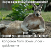 do-you-come-froma-land-down-under-you-better-50767889.png