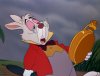 white-rabbit.jpg