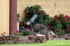 SJM-L-DENNYS-0208-541.jpg