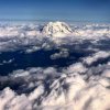 D81C0620-7456-4568-8BE4-0D5392F9D927.jpeg