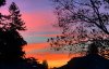3291170E-E2CF-436B-B5C4-8CBBF4E09ED2.jpeg