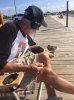duck at bay.jpg