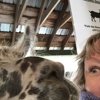 Alpaca and eye.jpg