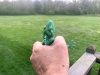 Little Fella.jpg