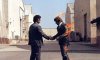 wish you were here.jpg