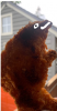 upload_2020-5-10_16-35-16.png