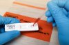 1800x1200_covid_19_antibody_strip_test_other.jpg