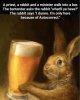 Rabbitjpg.jpg