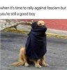 60ibofc77om21.jpg