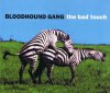 The_Bad_Touch_Bloodhound.JPG