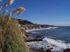 shell beach.jpg