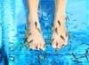 tiny fish.jpg