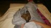20150922_062433.jpeg