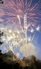 181A2EEC-18AA-42DA-9C53-2C8785B619F6.jpeg