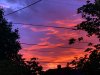 D821E13F-1B72-4516-9816-202D634A82FA.jpeg