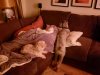 image1.jpeg