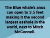 A97ED319-3E2F-44B8-AB3A-B64F3CE685A2.jpeg