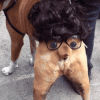giphy (1).gif