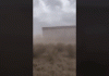 giphy (2).gif