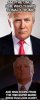 images (1).jpeg