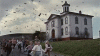 giphy (1)birds.gif