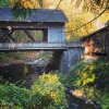 D497E788-9146-47C0-91E4-6B6365CE99C0.jpeg