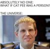 FB_IMG_1604980832595.jpg