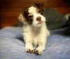 A8283374-0EF1-470F-AB78-B177AF4534A0.JPG