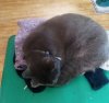 IMG_20201108_074411.jpg