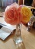 IMG_20201126_175334.jpg