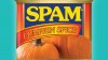pumpkin_spice_spam_1565796048.0.jpg