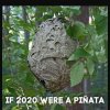 FB_IMG_1608505226611.jpg