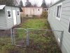 back yard.jpg
