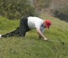 golf trump 2.jpg