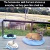 FB_IMG_1611257186992.jpg