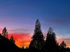 972F596F-D9C6-4EE5-9F51-0EBFBAE75B5A.jpeg