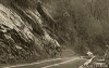 tenor (6).gif