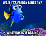 wait-its-friday-already-what-day-is-it-again-makeameme-org-50697015.png
