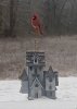 BIRD2.jpg