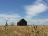 DF5377D0-2E43-44A9-AE64-24CB8CD691B6.jpeg
